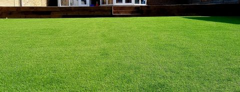 Artificial Grass