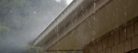 Roof Repair Specialists