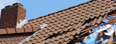 Roof Repair Specialists