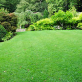 Artificial Grass Cost Loudwater