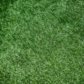 Artificial Grass Near Me Loudwater
