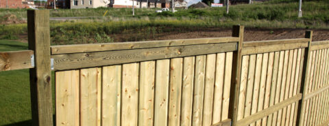 Fencing Services Shinefield