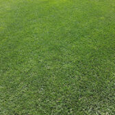 Local artificial grass Loudwater