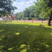 new-lawn-grass-turf-company-near-me-5