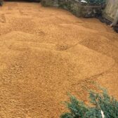 Local landscaper Woking